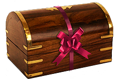 Wrapped Gift inventory icon